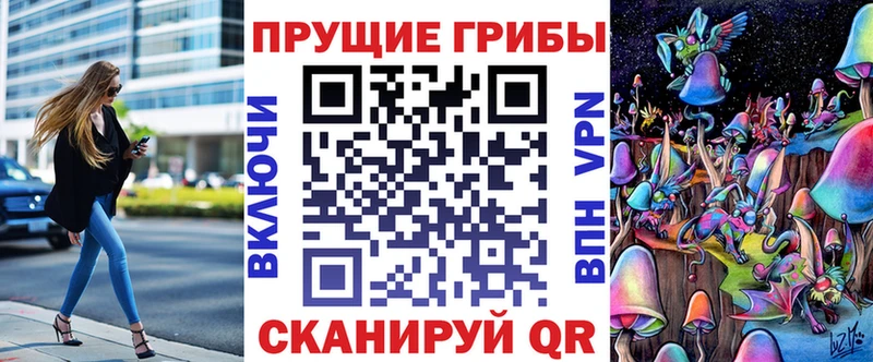 Псилоцибиновые грибы Cubensis Волжский
